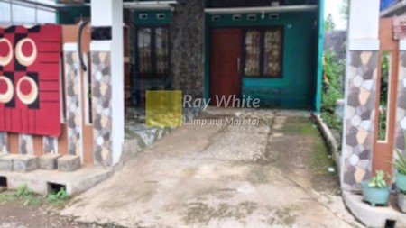 Rumah Murah Jual Cepat Area Cilebut Bogor