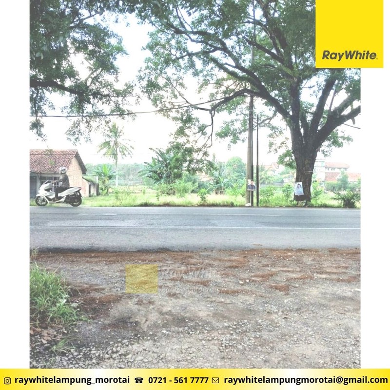 Dijual Tanah Komersial Bandar Agung Tulang Bawang