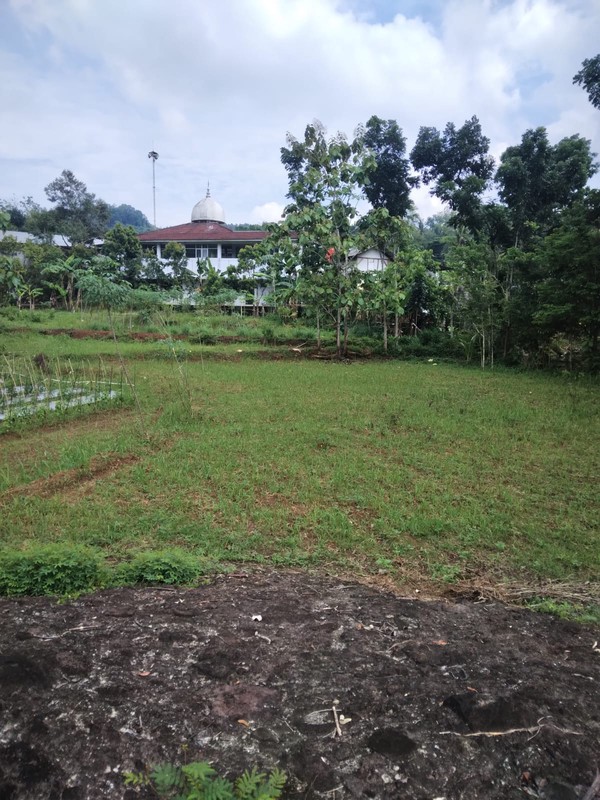 Dijual Tanah Pekarangan di Patuk, Gunung Kidul, View Cantik & Dekat Teras Patuk