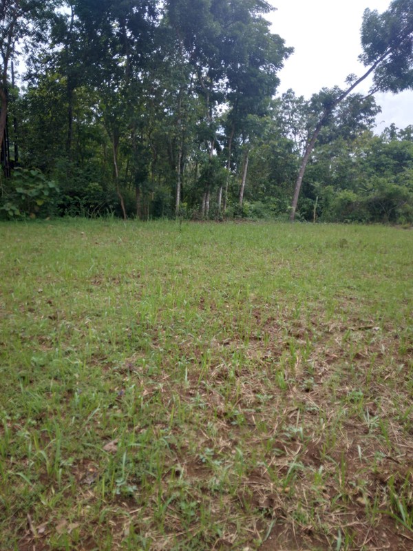 Dijual Tanah Pekarangan di Patuk, Gunung Kidul, View Cantik & Dekat Teras Patuk