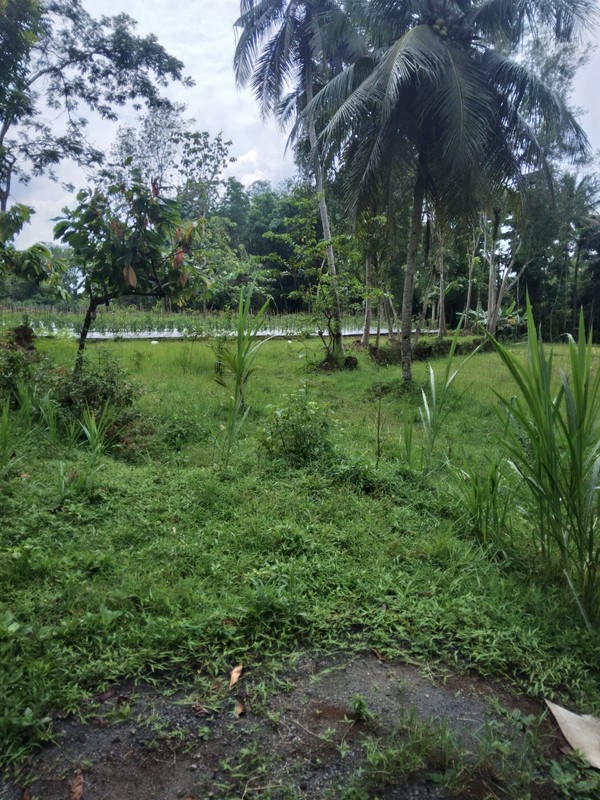 Dijual Tanah Pekarangan di Patuk, Gunung Kidul, View Cantik & Dekat Teras Patuk