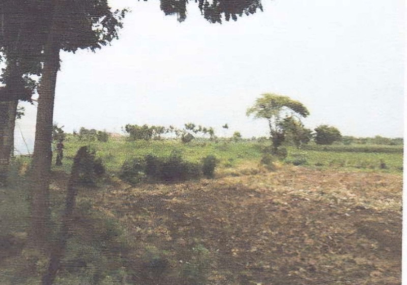 DISEWAKAN TANAH di pinggir jalan besar jalur pantura  jl Kragan-Rembang,  Desa Temaji, TUBAN, Jawa Timur