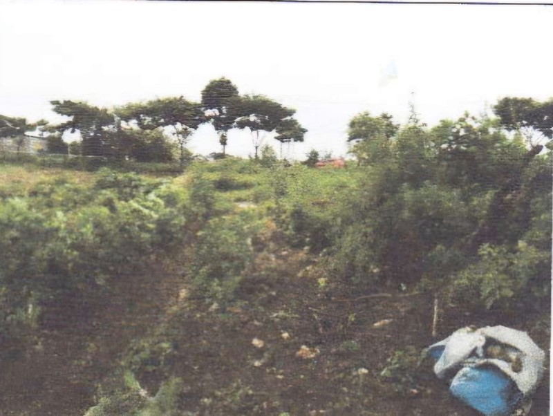 DISEWAKAN TANAH di pinggir jalan besar jalur pantura  jl Kragan-Rembang,  Desa Temaji, TUBAN, Jawa Timur