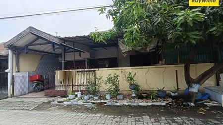 Dijual Rumah Murah di Jl Jambu Pondok Tjandra Sidoarjo