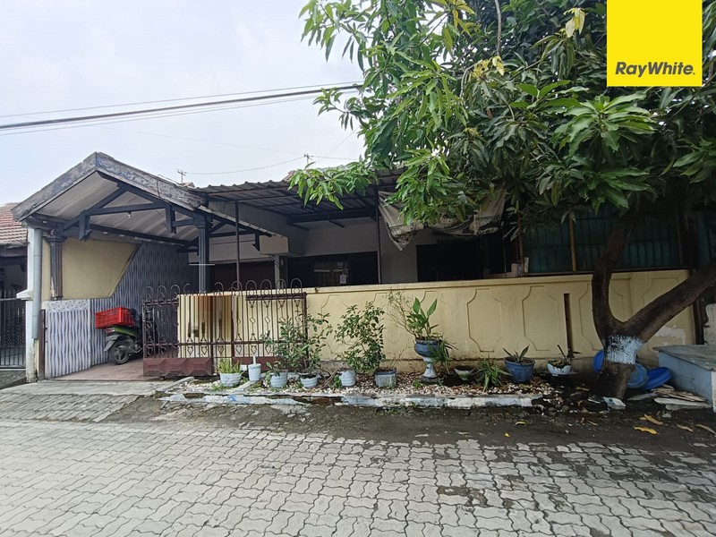 Dijual Rumah Murah di Jl Jambu Pondok Tjandra Sidoarjo