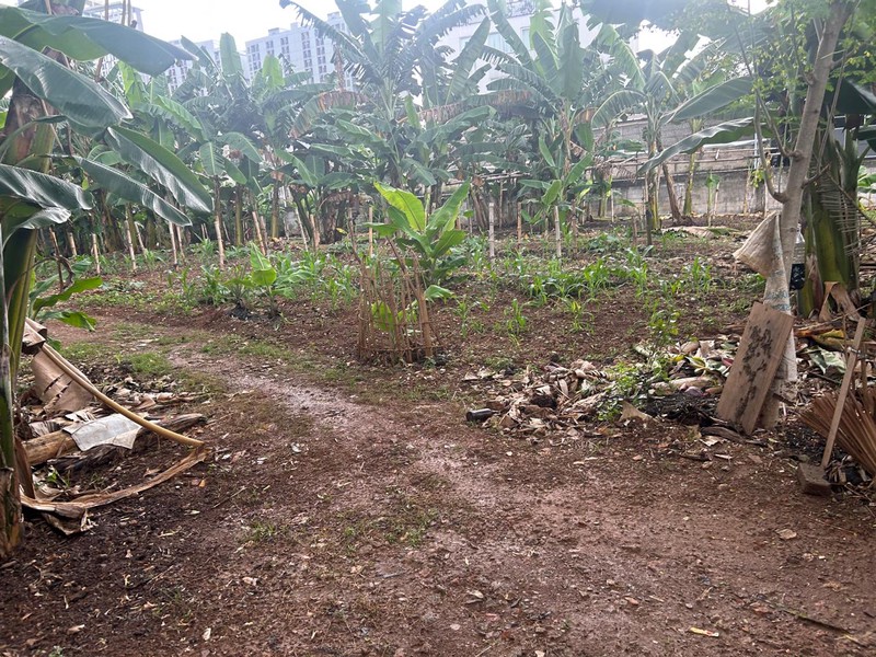 Kavling siap bangun di Jombang selangkah ke Bintaro