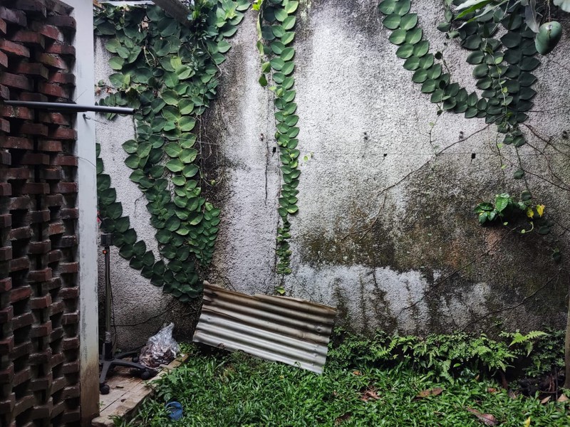 NYAMAN! Rumah 1 Lantai di Sayap Buah Batu, Bandung!
