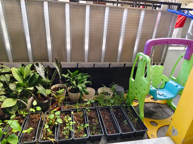 Rumah Tinggal Minimalis Lokasi Strategis di  Sidokarto Godean 