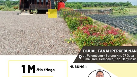 Dijual Tanah Perkebunan 