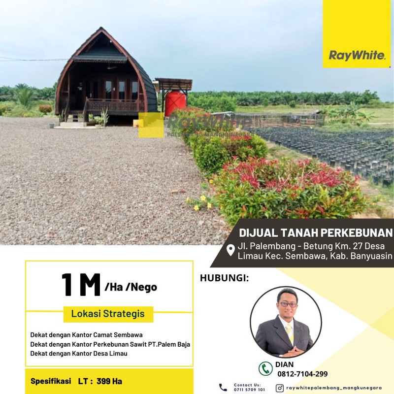 Dijual Tanah Perkebunan 