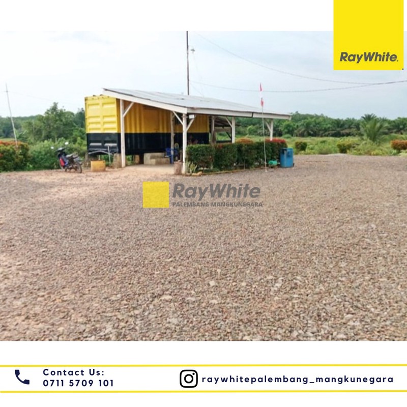 Dijual Tanah Perkebunan 