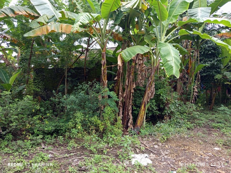 Tanah Bonus Bangunan Lokasi Strategis Dekat Pasar Pleret Bantul 