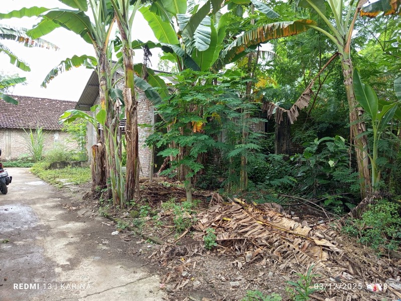 Tanah Bonus Bangunan Lokasi Strategis Dekat Pasar Pleret Bantul 