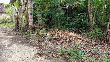 Tanah Bonus Bangunan Lokasi Strategis Dekat Pasar Pleret Bantul 