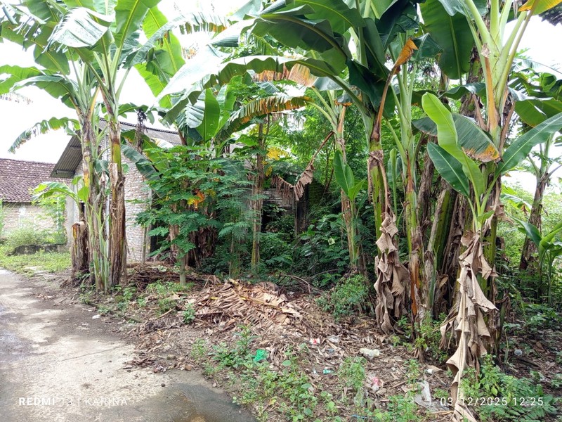 Tanah Bonus Bangunan Lokasi Strategis Dekat Pasar Pleret Bantul 