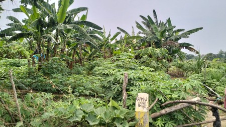 Jual Tanah Komersial Area Jl. Iker Iker Geger  Cerme Gresik