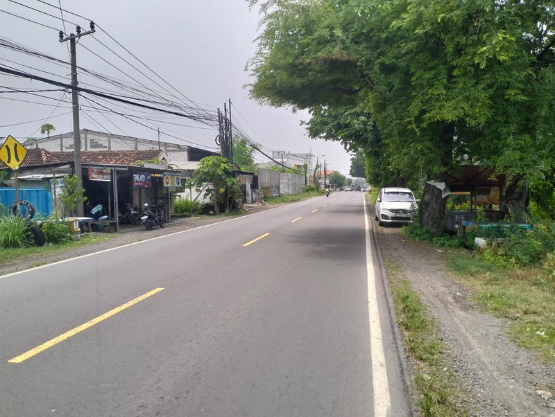 Jual Tanah Komersial Area Jl. Iker Iker Geger  Cerme Gresik