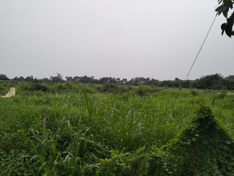 Jual Tanah industri  Jl. Iker Iker Geger  Cerme Gresik