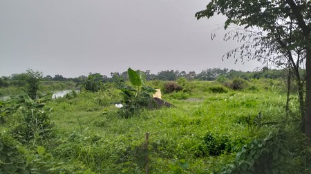 Jual Tanah industri  Jl. Iker Iker Geger  Cerme Gresik