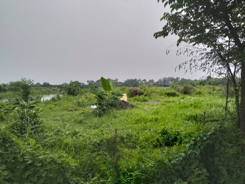 Jual Tanah industri  Jl. Iker Iker Geger  Cerme Gresik