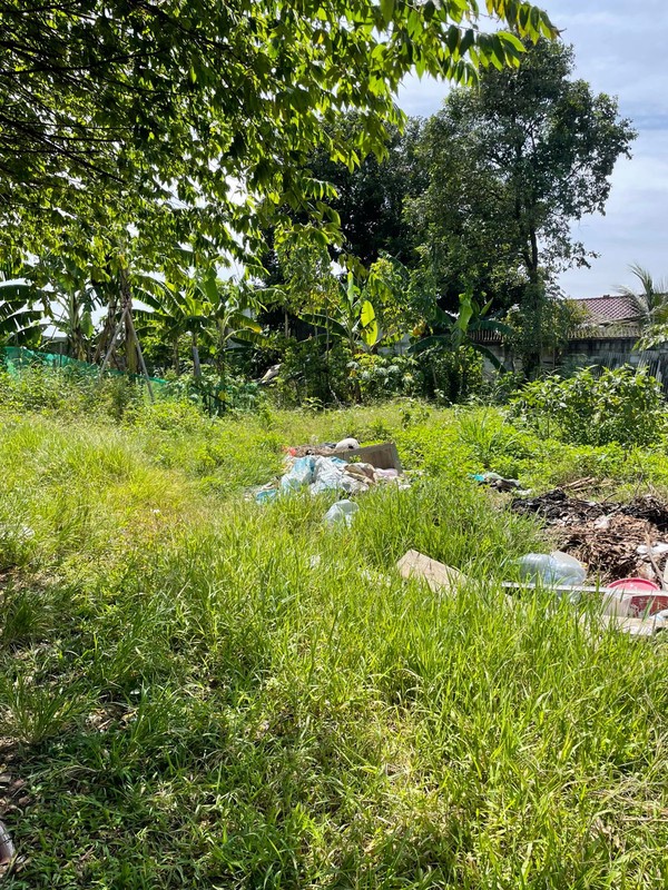 Kavling Siap Bangun Di Jl Gg Masjid Ciater BSD Tangerang Selatan