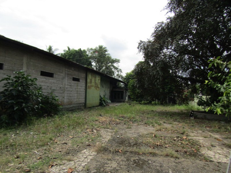 Dijual Gedung Dengan Tanah Yang Luas Lokasi Di Gedong Tataan, Lampung