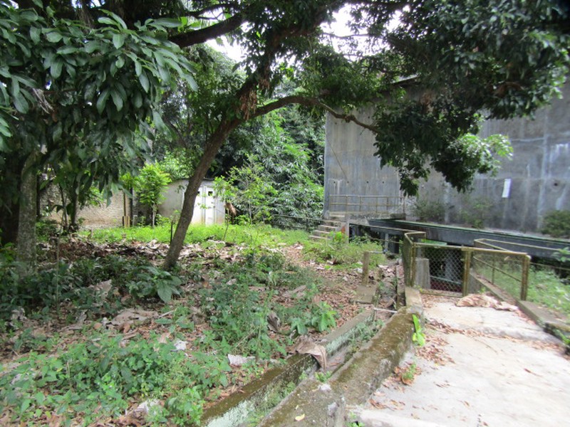 Dijual Gedung Dengan Tanah Yang Luas Lokasi Di Gedong Tataan, Lampung