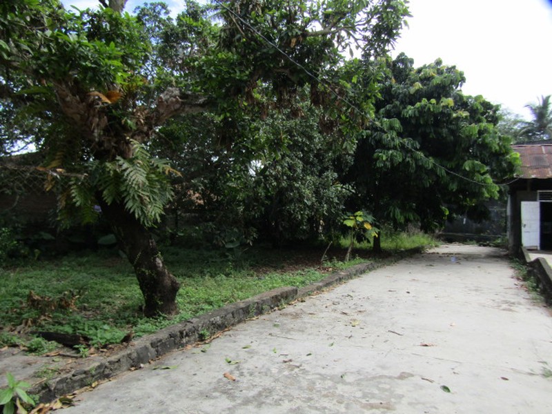 Dijual Gedung Dengan Tanah Yang Luas Lokasi Di Gedong Tataan, Lampung