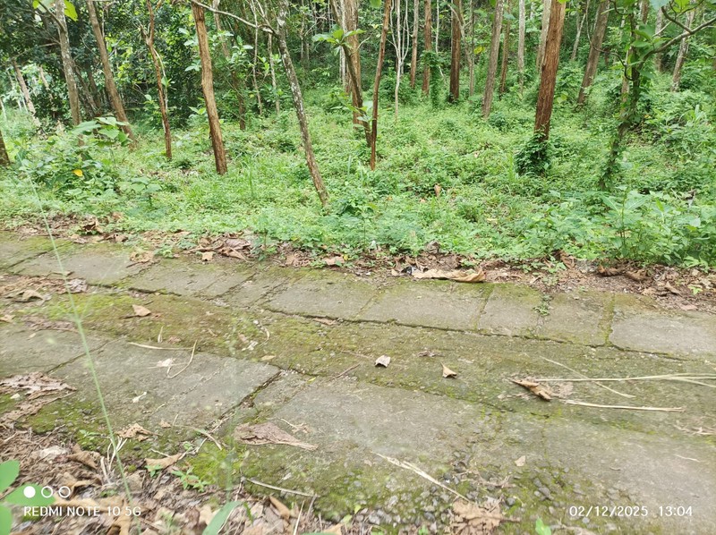 Dijual Tanah Luas 1175 Meter Persegi - Lokasi Strategis di Giri, Panggang, Gunung Kidul