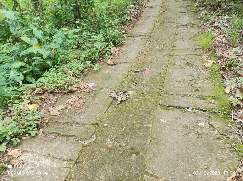 Dijual Tanah Luas 1175 Meter Persegi - Lokasi Strategis di Giri, Panggang, Gunung Kidul