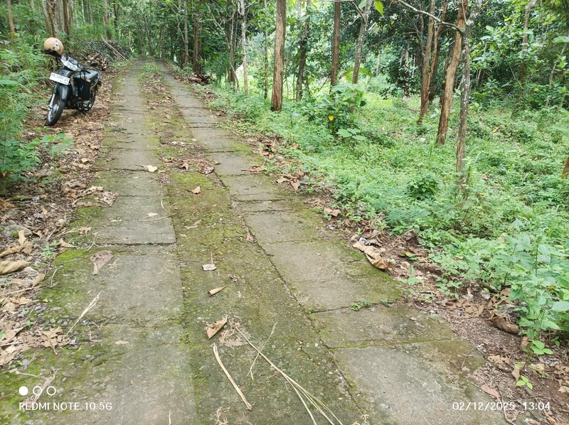 Dijual Tanah Luas 1175 Meter Persegi - Lokasi Strategis di Giri, Panggang, Gunung Kidul