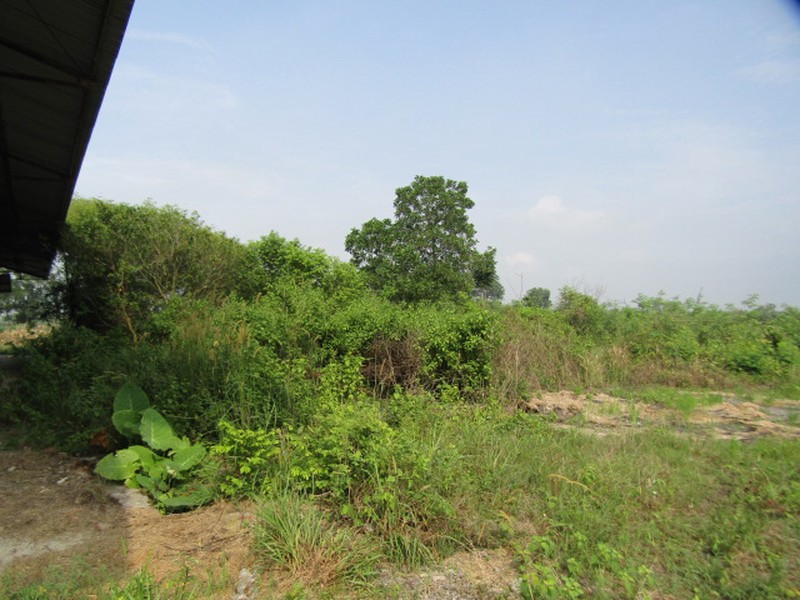 Dijual Tanah Beserta Bangunan Lokasi Di Jl, Lintas Sumatra, Gunung Sugih, Lampung Tengah