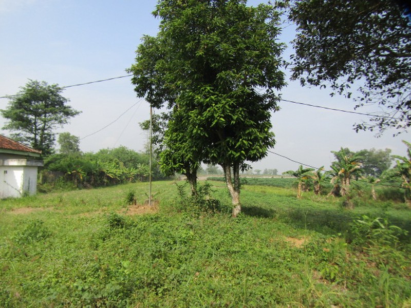 Dijual Tanah Beserta Bangunan Lokasi Di Jl, Lintas Sumatra, Gunung Sugih, Lampung Tengah