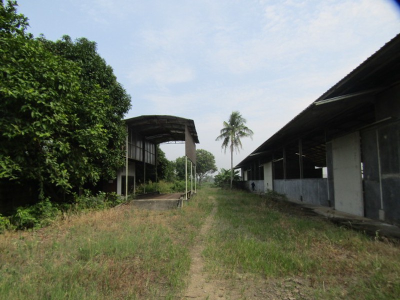 Dijual Tanah Beserta Bangunan Lokasi Di Jl, Lintas Sumatra, Gunung Sugih, Lampung Tengah