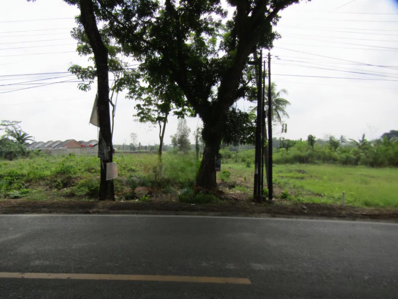 Dijual Tanah Luas Cocok Untuk Usaha Lokasi Di Banjar Agung, Lampung