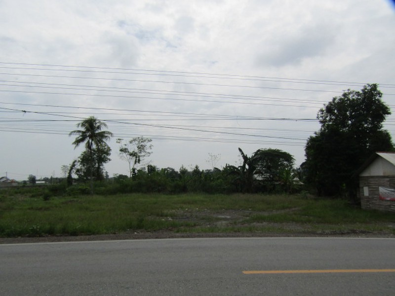 Dijual Tanah Luas Cocok Untuk Usaha Lokasi Di Banjar Agung, Lampung