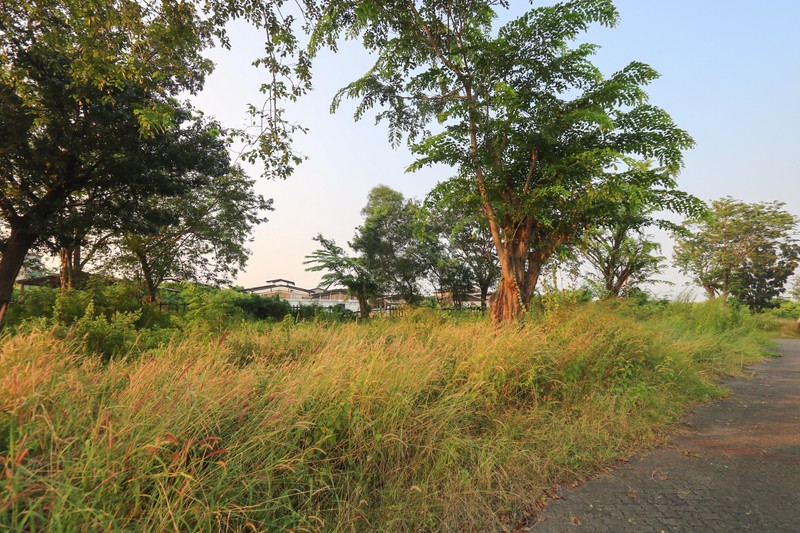 Tanah Luas di Tipar Cakung dekat Kelapa Gading Cakung JGC Marunda