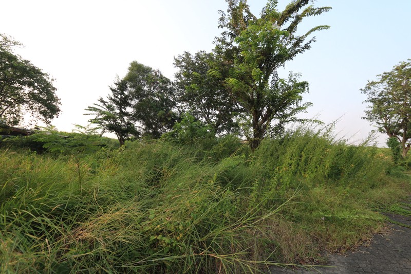 Tanah Luas di Tipar Cakung dekat Kelapa Gading Cakung JGC Marunda