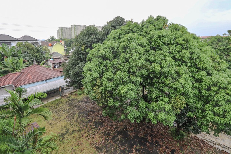 Tanah di Kalibata, Dekat Tebet Kuningan Pancoran & Stasiun Kereta