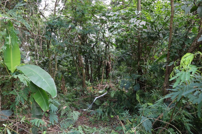 TANAH KAVLING, VIEW TERBAIK DI VILLA MEGA INDAH, MEGA MENDUNG, PUNCAK, AKSES MUDAH DARI SENTUL CITY, BOGOR 