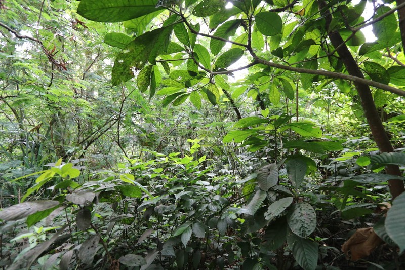 TANAH KAVLING, VIEW TERBAIK DI VILLA MEGA INDAH, MEGA MENDUNG, PUNCAK, AKSES MUDAH DARI SENTUL CITY, BOGOR 