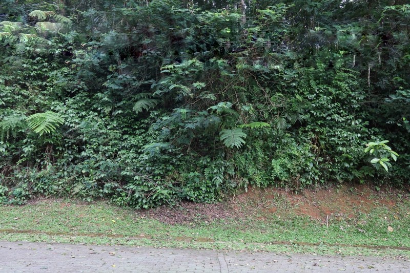 TANAH KAVLING, VIEW TERBAIK DI VILLA MEGA INDAH, MEGA MENDUNG, PUNCAK, AKSES MUDAH DARI SENTUL CITY, BOGOR 