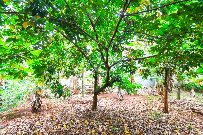 TANAH KAVLING DI KALIMALANG, DEKAT CAWANG, DUREN SAWIT, MAKASAR, PONDOK KELAPA, COCOK UNTUK CLUSTER BARU, KEBUN 
