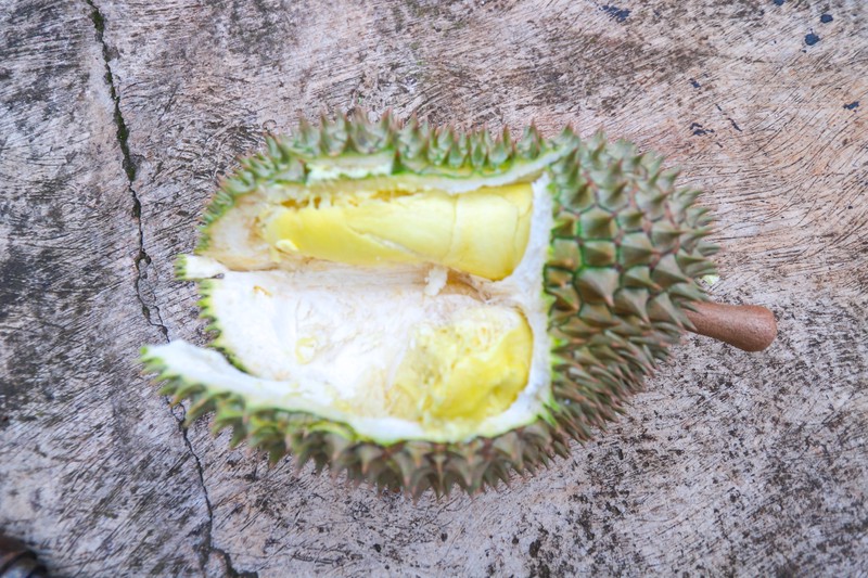 TANAH KAVLING DI KALIMALANG, DEKAT CAWANG, DUREN SAWIT, MAKASAR, PONDOK KELAPA, COCOK UNTUK CLUSTER BARU, KEBUN 