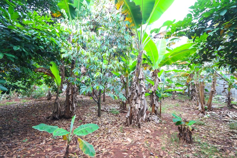 TANAH KAVLING DI KALIMALANG, DEKAT CAWANG, DUREN SAWIT, MAKASAR, PONDOK KELAPA, COCOK UNTUK CLUSTER BARU, KEBUN 