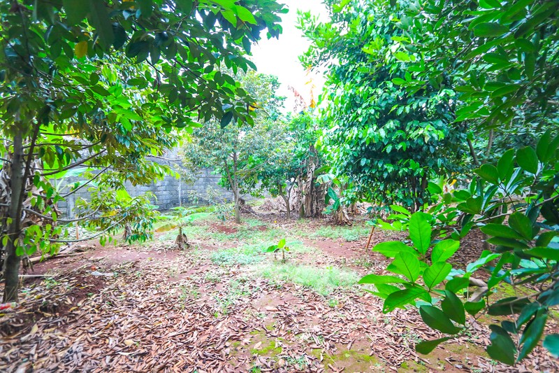 TANAH KAVLING DI KALIMALANG, DEKAT CAWANG, DUREN SAWIT, MAKASAR, PONDOK KELAPA, COCOK UNTUK CLUSTER BARU, KEBUN 