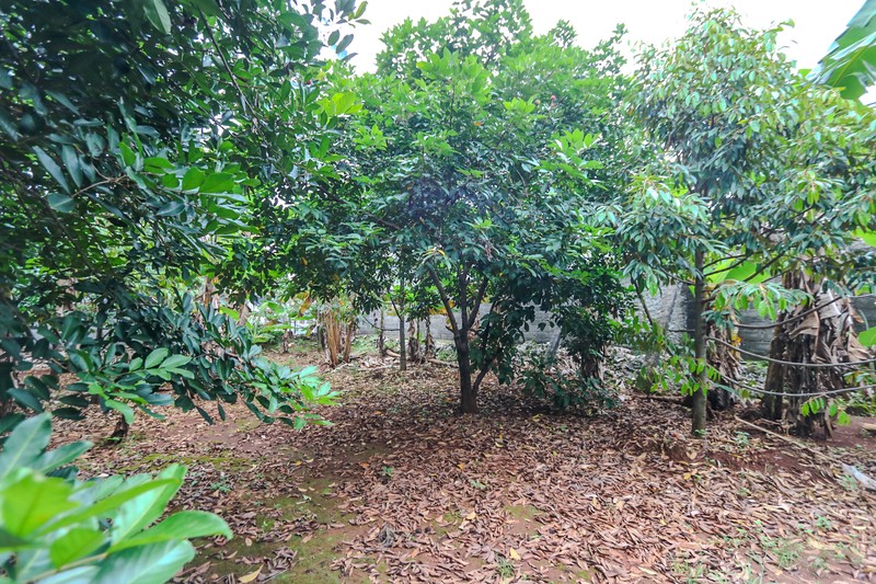 TANAH KAVLING DI KALIMALANG, DEKAT CAWANG, DUREN SAWIT, MAKASAR, PONDOK KELAPA, COCOK UNTUK CLUSTER BARU, KEBUN 