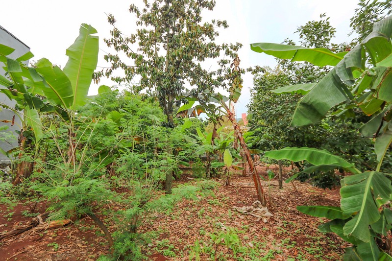 TANAH KAVLING DI KALIMALANG, DEKAT CAWANG, DUREN SAWIT, MAKASAR, PONDOK KELAPA, COCOK UNTUK CLUSTER BARU, KEBUN 