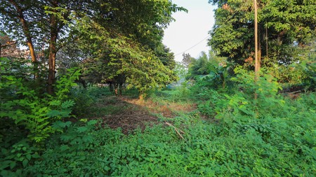 Kavling Tanah 5000m2 Karang Tengah, Dekat Green Lake City, Metland Puri 