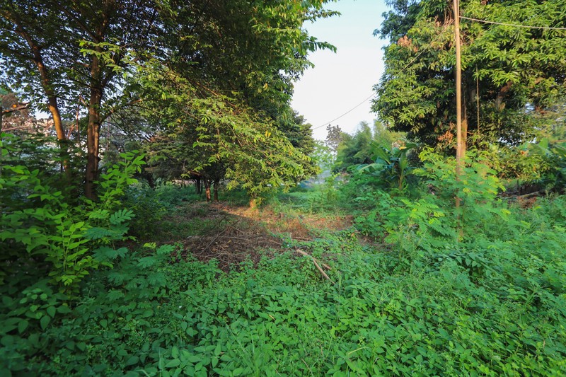 Tanah 5000m2 Karang Tengah, Dekat Green Lake City, Metland Puri 